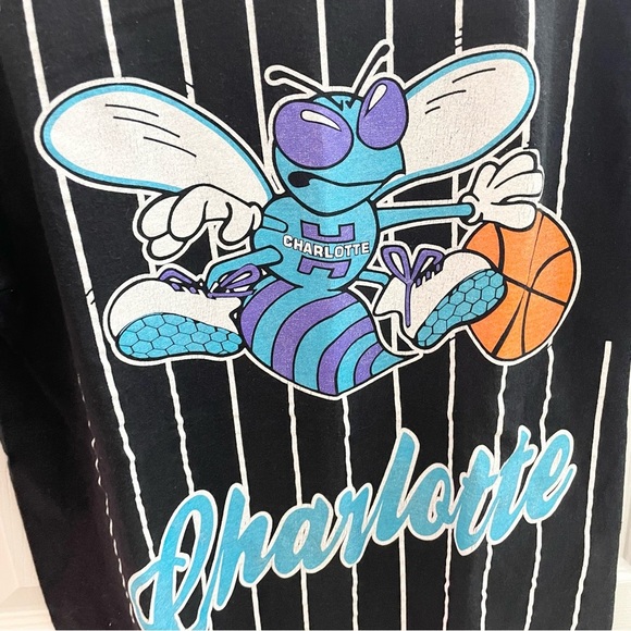 Vintage Hardwood Classics Charlotte Hornet t-shirt Medium - Picture 2 of 5